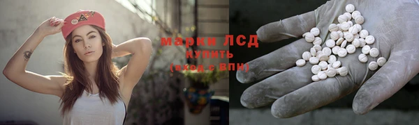 прущий лед Алзамай