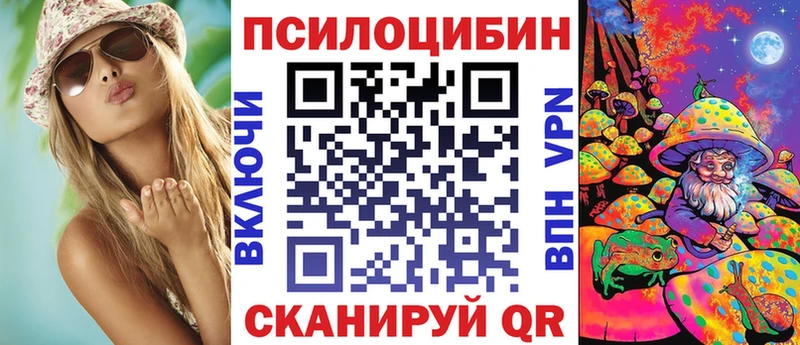 Галлюциногенные грибы Psilocybine cubensis Закаменск
